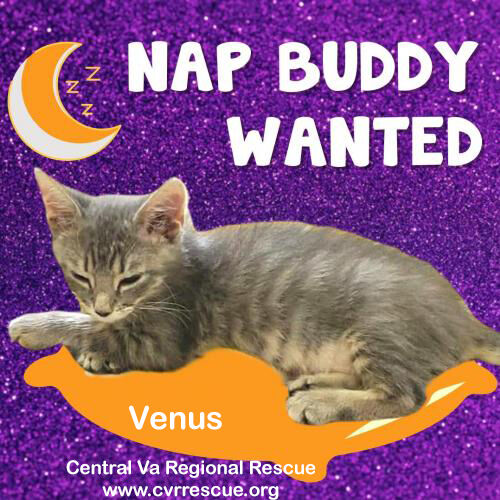 Venus